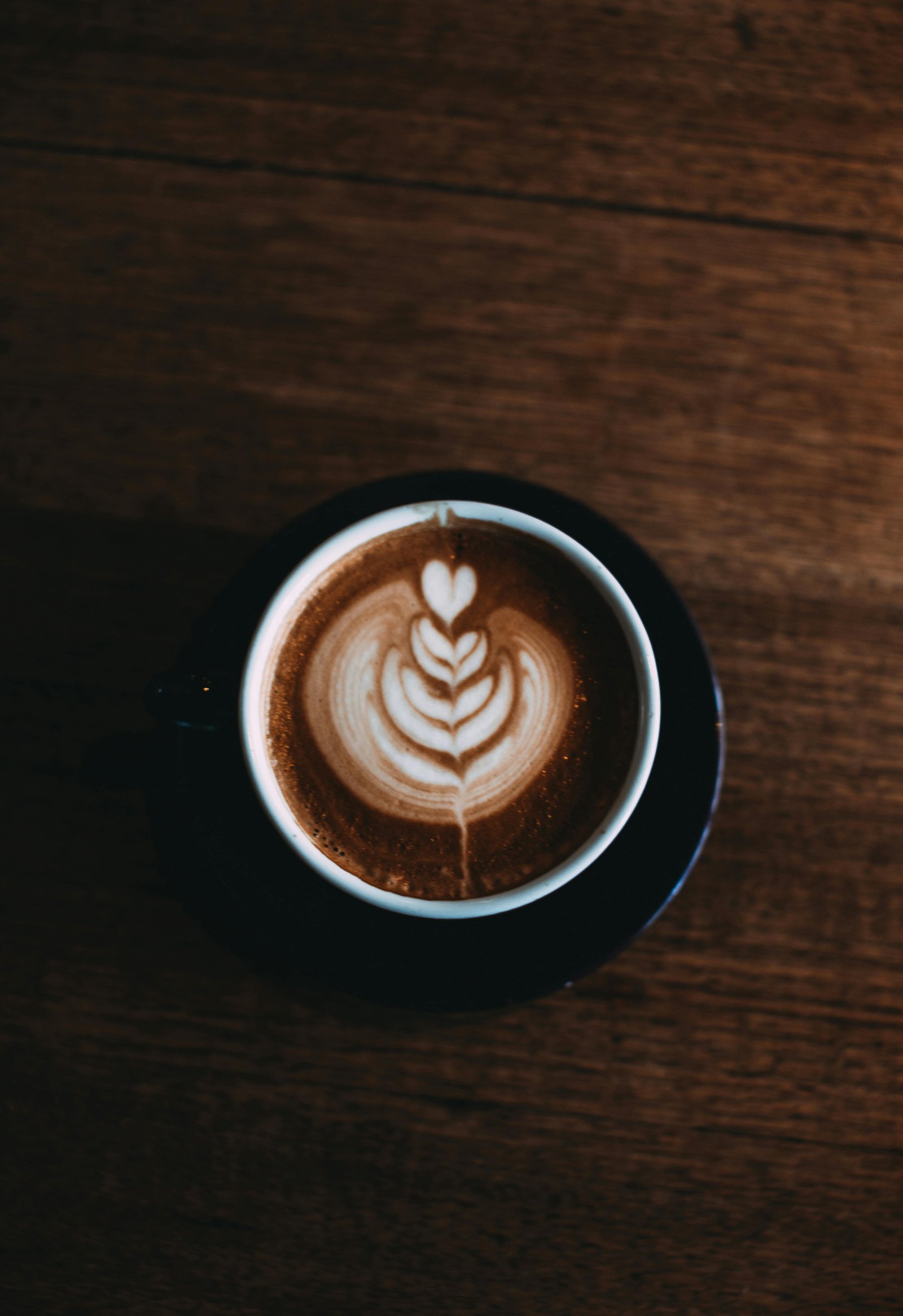 Mocha (Hot & Ice)